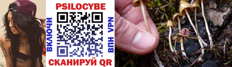площадка как зайти  Чулым  Псилоцибиновые грибы Cubensis 